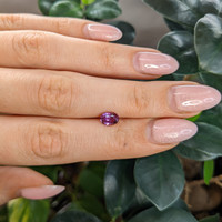 1.17 Ct. Purplish Pink Sapphire from Madagascar Life Style