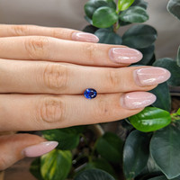 1.13 Ct. Blue Sapphire from Ceylon (Sri Lanka) Life Style