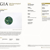 1.72 Ct. Green Sapphire from Montana Pdf