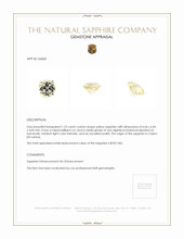 Jewelry Appraisal