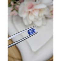 1.18 Ct. Blue Sapphire from Ceylon (Sri Lanka) Life Style