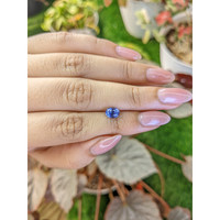 1.18 Ct. Blue Sapphire from Ceylon (Sri Lanka) Life Style