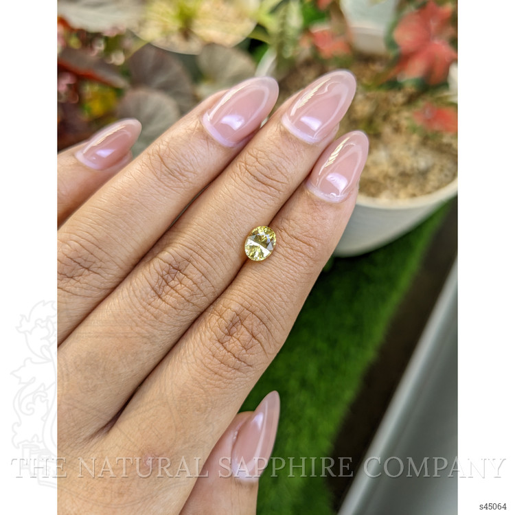 1.21 Ct. Yellow Sapphire from Ceylon (Sri Lanka)
