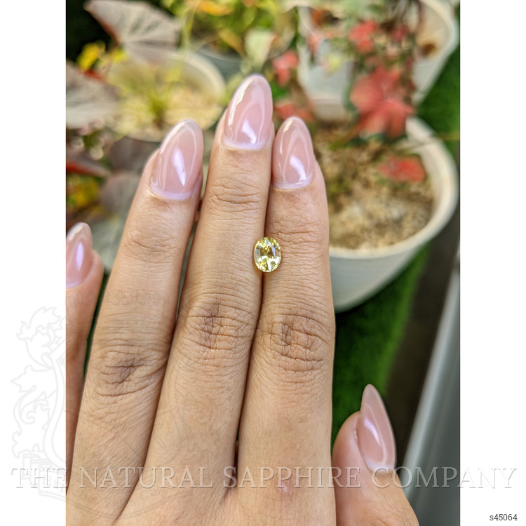 1.21 Ct. Yellow Sapphire from Ceylon (Sri Lanka)