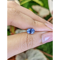 1.55 Ct. Blue Sapphire from Ceylon (Sri Lanka) Life Style