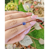 1.03 Ct. Blue Sapphire from Ceylon (Sri Lanka) Life Style