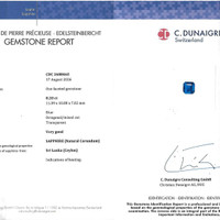 8.21 Ct. Blue Sapphire from Ceylon (Sri Lanka) Pdf