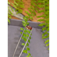 1.05 Ct. Orangish Brown Sapphire from Ceylon (Sri Lanka) Life Style