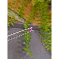 0.47 Ct. Pink Sapphire from Ceylon (Sri Lanka) Life Style