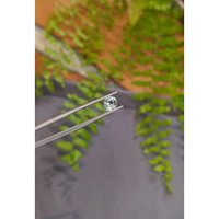 1.15 Ct. Green Sapphire from Montana Life Style