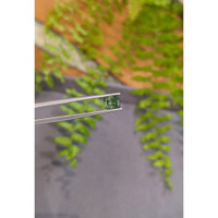 1.64 Ct. Bluish Green Sapphire from Montana Life Style