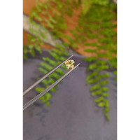1.12 Ct. Yellow Sapphire from Montana Life Style