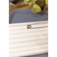 1.10 Ct. Padparadscha Sapphire from Ceylon (Sri Lanka) Life Style