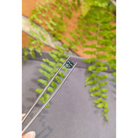 1.61 Ct. Bluish Green Sapphire from Montana Life Style