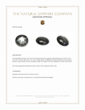 3.66 Ct. Black Star Sapphire from Ceylon (Sri Lanka) Appraisal