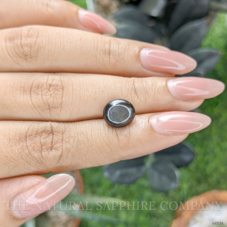 3.66 Ct. Black Star Sapphire from Ceylon (Sri Lanka)