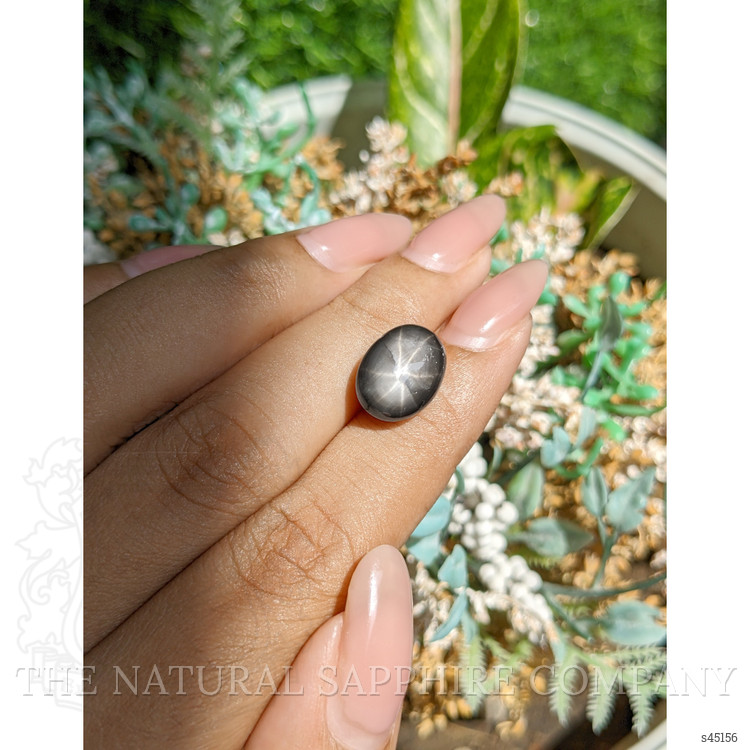 11.48 Ct. Black Star Sapphire from Ceylon (Sri Lanka)