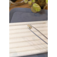 1.77 Ct. Yellow Sapphire from Ceylon (Sri Lanka) Life Style