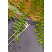 3.20 Ct. Yellow Sapphire from Ceylon (Sri Lanka) Life Style