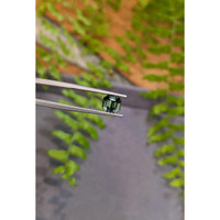 2.20 Ct. Bluish Green Sapphire from Madagascar Life Style