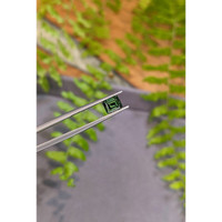 1.46 Ct. Bluish Green Sapphire from Kenya Life Style