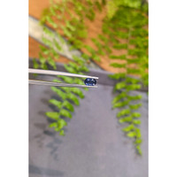 0.65 Ct. Blue Sapphire from Thailand Life Style