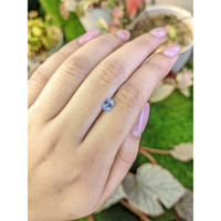0.68 Ct. Blue Sapphire from Ceylon (Sri Lanka) Life Style