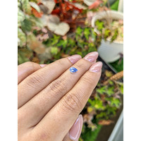 0.70 Ct. Bi Color / Parti Sapphire from Ceylon (Sri Lanka) Life Style