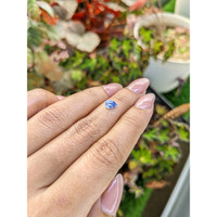 0.70 Ct. Bi Color / Parti Sapphire from Ceylon (Sri Lanka) Life Style
