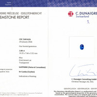 3.80 Ct. Blue Sapphire from Ceylon (Sri Lanka) Pdf