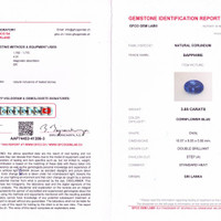 3.85 Ct. Blue Sapphire from Ceylon (Sri Lanka) Pdf