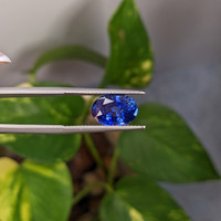 3.85 Ct. Blue Sapphire from Ceylon (Sri Lanka) Life Style