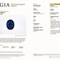 9.04 Ct. Blue Sapphire from Madagascar Pdf