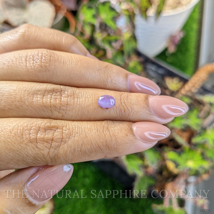 1.33 Ct. Purple Star Sapphire from Ceylon (Sri Lanka)