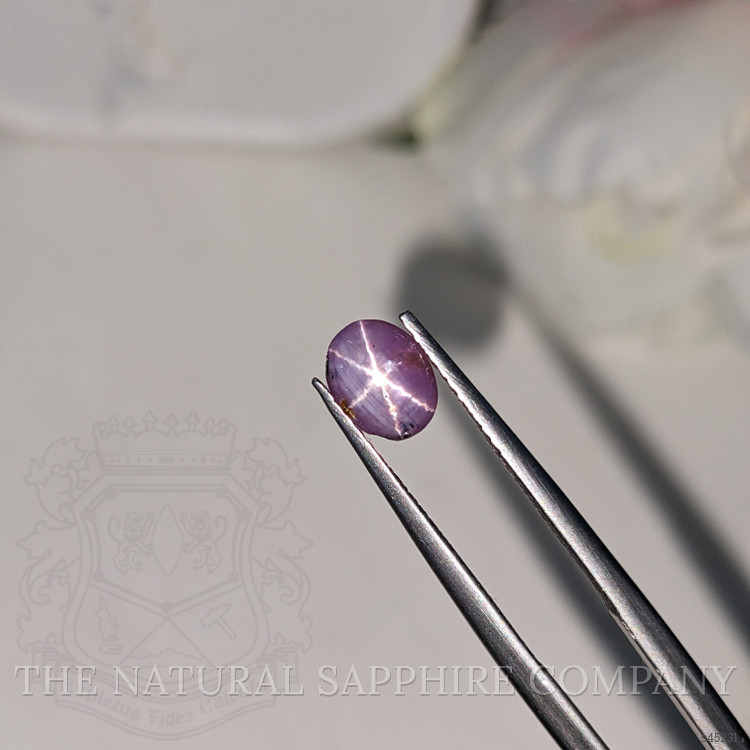 1.33 Ct. Purple Star Sapphire from Ceylon (Sri Lanka)