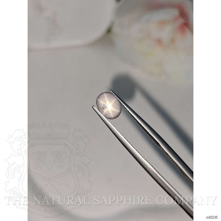 2.64 Ct. Grey Star Sapphire from Ceylon (Sri Lanka)