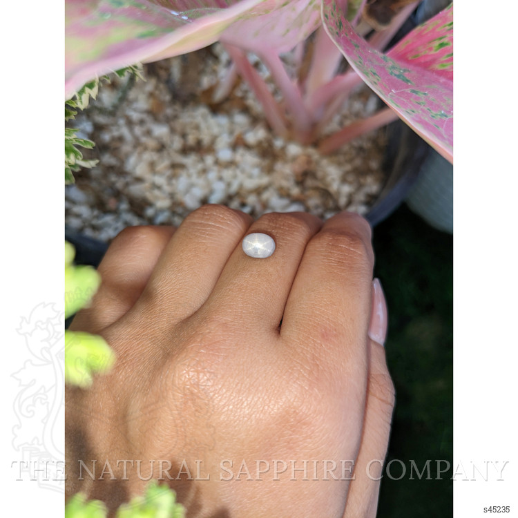 2.64 Ct. Grey Star Sapphire from Ceylon (Sri Lanka)