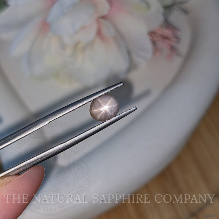 1.57 Ct. Grey Star Sapphire from Ceylon (Sri Lanka)