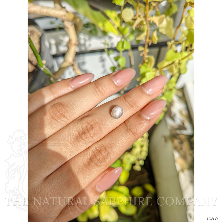 1.57 Ct. Grey Star Sapphire from Ceylon (Sri Lanka)