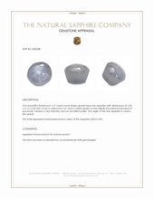 1.31 Ct. Greyish Blue Star Sapphire from Ceylon (Sri Lanka) Appraisal