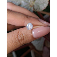 1.43 Ct. Bluish Grey Star Sapphire from Ceylon (Sri Lanka) Life Style