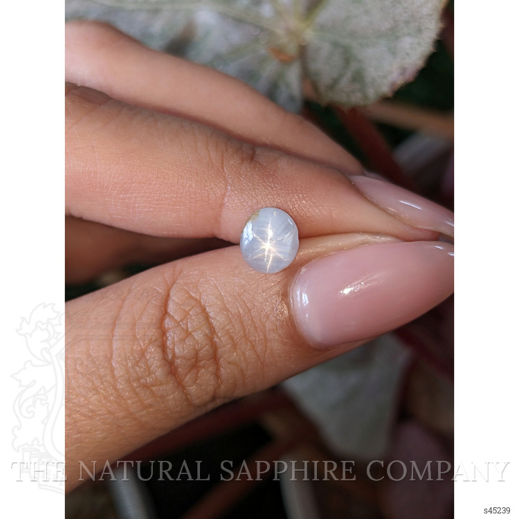 1.43 Ct. Bluish Grey Star Sapphire from Ceylon (Sri Lanka)