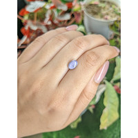 2.21 Ct. Greyish Blue Star Sapphire from Ceylon (Sri Lanka) Life Style