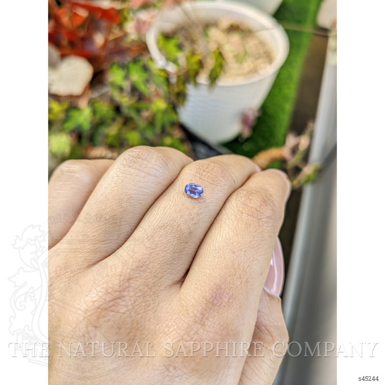 0.49 Ct. Bluish Purple Sapphire from Ceylon (Sri Lanka)