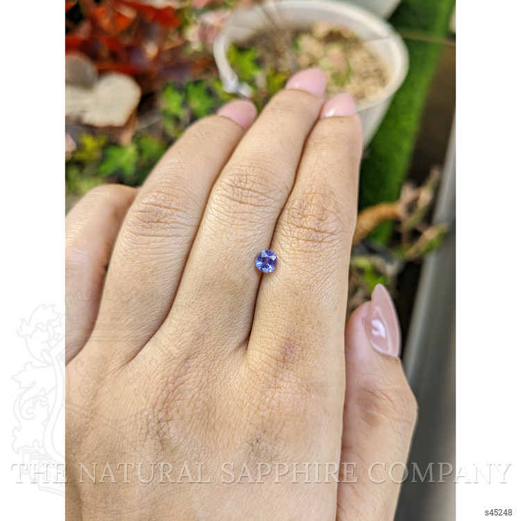 0.55 Ct. Violet Sapphire from Ceylon (Sri Lanka)