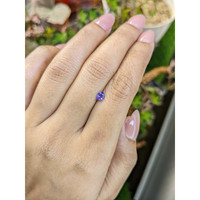 0.36 Ct. Bluish Purple Sapphire from Ceylon (Sri Lanka) Life Style
