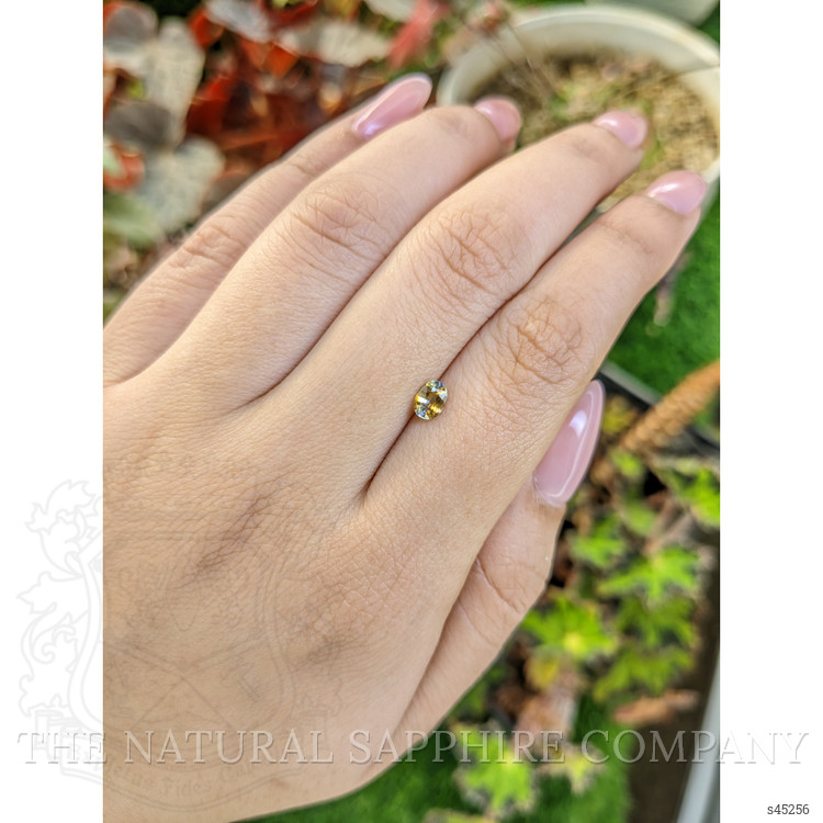 0.46 Ct. Bi Color / Parti Sapphire from Ceylon (Sri Lanka)