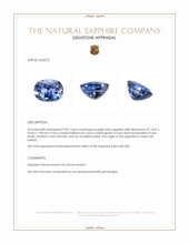 9.87 Ct. Purplish Blue Sapphire from Ceylon (Sri Lanka) Appraisal