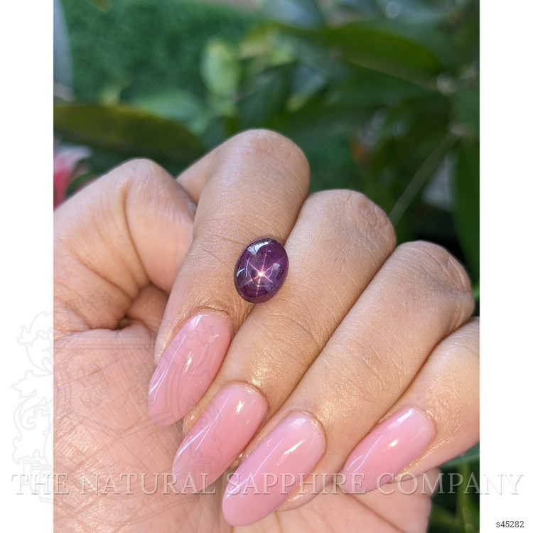 5.06 Ct. Purple Star Sapphire from Ceylon (Sri Lanka)