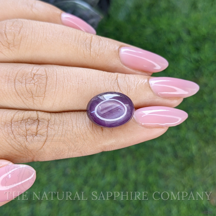 17.03 Ct. Purple Star Sapphire from Ceylon (Sri Lanka)